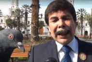 साक्षात्कार (वीडियो) में कबूतरों द्वारा आरेक्विपा के महापौर पर हमला किया गया है