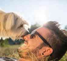 7 कारण आपका कुत्ता आपको चाटना क्यों चाहता है