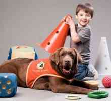 9 ऑटिस्टिक बच्चों में कुत्तों के लाभ
