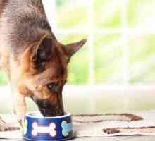 कुत्तों के लिए प्राकृतिक भोजन