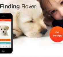 खोए कुत्तों को खोजने के लिए ऐप्स: रोवर ढूंढना