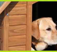 सस्ते कुत्तों के लिए झोपड़ी: कुत्तों के लिए सबसे अच्छा घर amazon.es