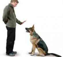 एक कुत्ते को आदेश कैसे सिखाओ