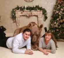 स्टेपैन से मिलें, ब्राउन भालू जो रूसी परिवार के साथ रहते हैं