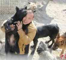 वांग यान से मिलें, करोड़पति जिन्होंने कुत्तों के लिए सबकुछ दिया है
