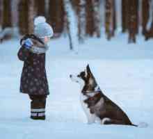 सर्दियों में कुत्ते की देखभाल कैसे करें?