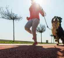 मेरे कुत्ते को मेरे साथ दौड़ने के लिए कैसे सिखाया जाए