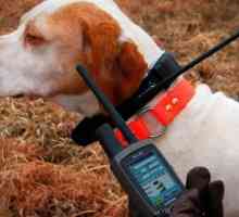 कुत्तों के लिए कॉलर लोकेटर, भयभीत कुत्तों में एक बहुत उपयोगी उपकरण