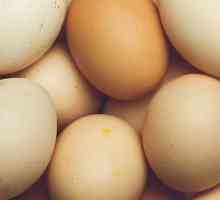 चिकन अंडे में कोड - इसका क्या अर्थ है?