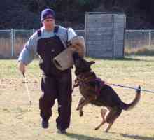 कैनिन प्रशिक्षण schutzhund