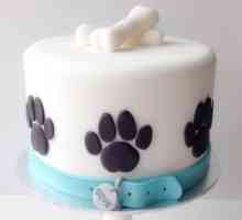 अपने कुत्ते के लिए जन्मदिन का केक बनाओ
