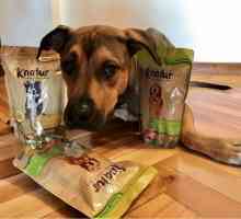 Knatur: अपने कुत्ते के लिए प्राकृतिक भोजन