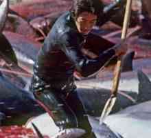 ताइजी में डॉल्फिन शिकार। क्या आप जानते हैं कि वे खुद की रक्षा क्यों नहीं करते?