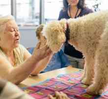 मालिकों, बच्चों, बीमार और बुजुर्गों के लिए उपचारात्मक पालतू जानवर