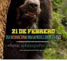 एंडियन भालू विलुप्त होने के लिए मत देना #pontelosanteojosporlavida