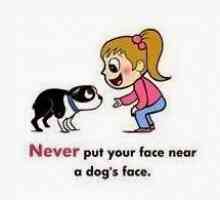 अपने चेहरे को कुत्ते के पास न रखें