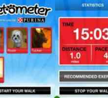 पेट्रोमीटर, एक ऐप जो आपके कुत्ते के चलने का आयोजन करता है