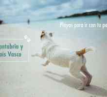 कुत्तों के लिए समुद्र तट: कैंटब्रिया और बास्क देश