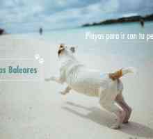 कुत्तों के लिए समुद्र तट: बेलिएरिक द्वीप