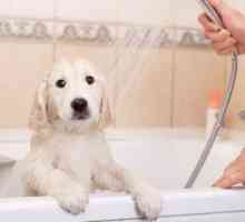 क्या टीकाकरण के बाद मैं अपने कुत्ते को स्नान कर सकता हूं?