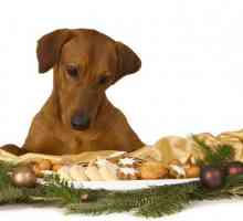 कुत्तों के लिए क्रिसमस व्यंजनों