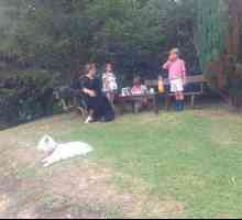 रूथ और उसके परिवार, कुत्ते सैंटैंडर में बैठे हैं