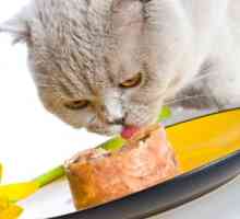 बिल्ली के भोजन के डिब्बे अच्छे हैं?