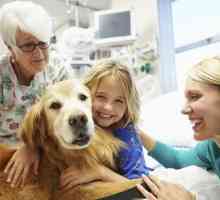 ऑटिस्टिक बच्चों के लिए कुत्तों के साथ उपचार