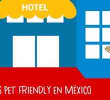 मैक्सिको में पालतू दोस्ताना होटल के शीर्ष