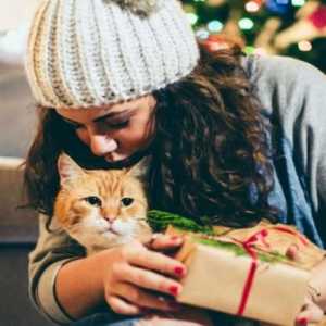 बहुत मूल बिल्लियों के लिए 10 क्रिसमस उपहार