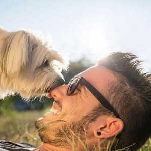 7 कारण आपका कुत्ता आपको चाटना क्यों चाहता है