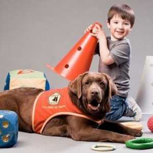 9 ऑटिस्टिक बच्चों में कुत्तों के लाभ