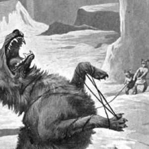 पौराणिक पशु: फेनेर, विशाल नॉर्डिक भेड़िया