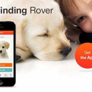 खोए कुत्तों को खोजने के लिए ऐप्स: रोवर ढूंढना