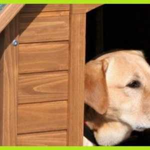 सस्ते कुत्तों के लिए झोपड़ी: कुत्तों के लिए सबसे अच्छा घर amazon.es