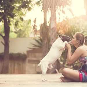 कुत्ते कैसे अपना प्यार दिखाते हैं?