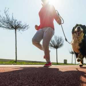 मेरे कुत्ते को मेरे साथ दौड़ने के लिए कैसे सिखाया जाए