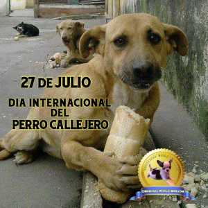 भटक कुत्ते का अंतरराष्ट्रीय दिन