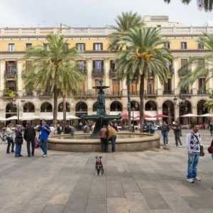 बार्सिलोना में अपने कुत्ते को कहाँ चलना है: बेहतर जगहें