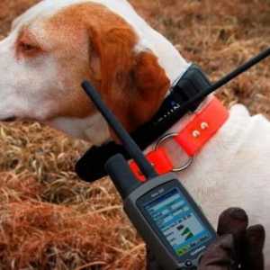 कुत्तों के लिए कॉलर लोकेटर, भयभीत कुत्तों में एक बहुत उपयोगी उपकरण