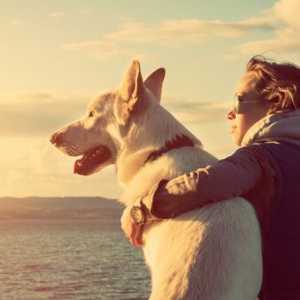 कुत्तों और उनके मालिकों के बीच प्यार का रहस्य
