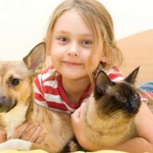 बच्चों को खेल के माध्यम से पालतू जानवरों की देखभाल कैसे करें सिखाएं