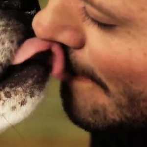 क्या हमारे कुत्ते के साथ चुंबन करना अच्छा है?