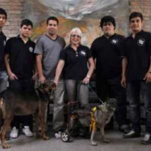 अर्जेंटीना के तकनीकी स्कूल पालतू जानवरों के लिए ऑर्थोपेडिक गाड़ियां बनाता है