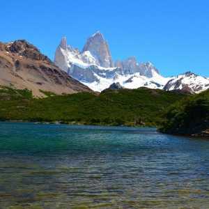 अर्जेंटीना Patagonia के वन्यजीवन