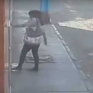 सड़क से पिल्ले के पानी फेंकने वाली महिला दर्ज की गई है (वीडियो)