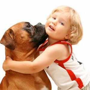 बच्चों और कुत्तों को एक अच्छी सहअस्तित्व के लिए बुनियादी देखभाल