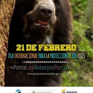 एंडियन भालू विलुप्त होने के लिए मत देना #pontelosanteojosporlavida