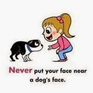 अपने चेहरे को कुत्ते के पास न रखें