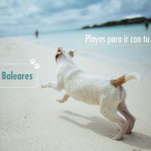 कुत्तों के लिए समुद्र तट: बेलिएरिक द्वीप
